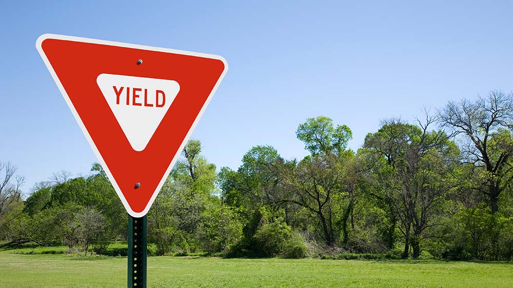 Vehicle Safety Yield Sign