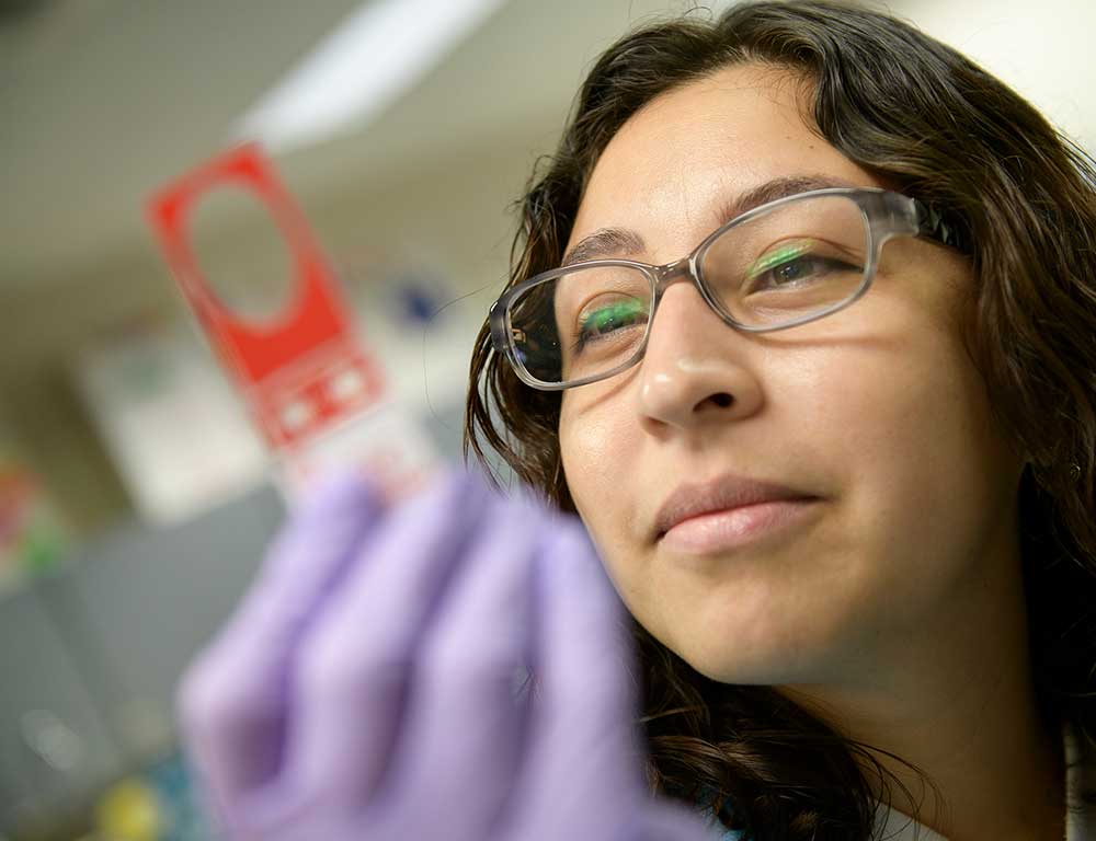 Medical Laboratory student looking at slide